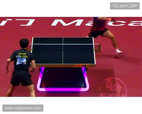 乒乓球传奇陈磊的成长之路与职业生涯深度对话